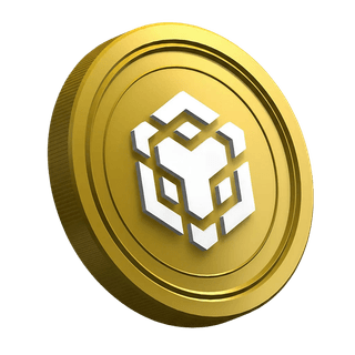 Panduan bagi trader pemula mengenai cryptocurrency BNB